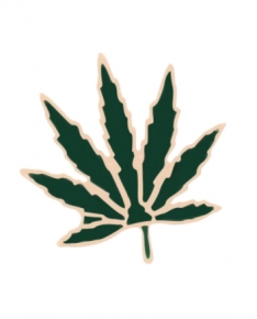 Pin Cannabis